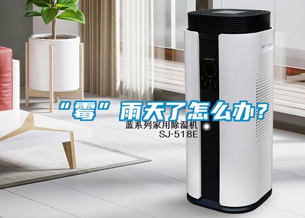 “霉”雨天了怎么办？
