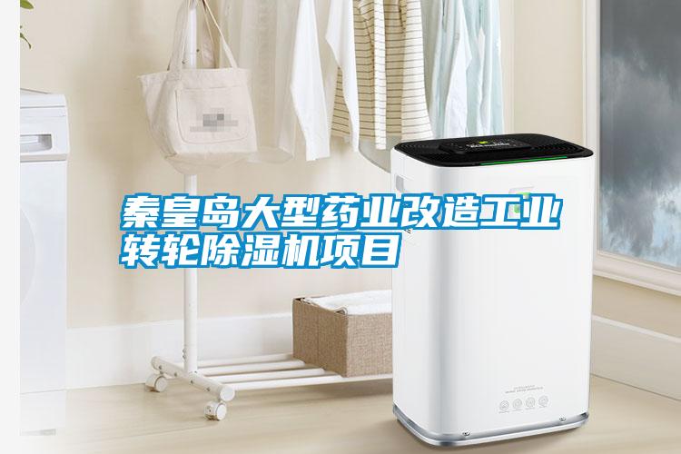 秦皇岛大型药业改造工业转轮粉色视频免费在线观看项目