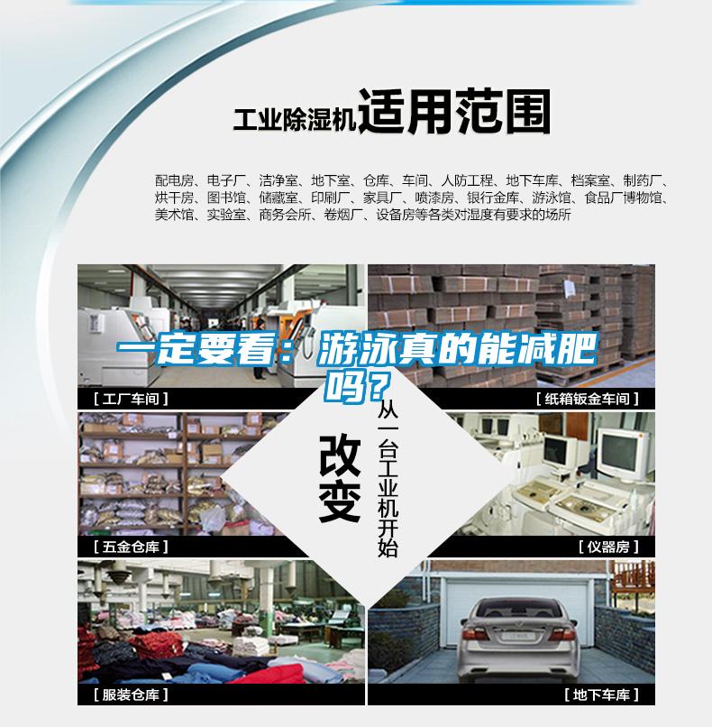 一定要看：游泳真的能减肥吗？