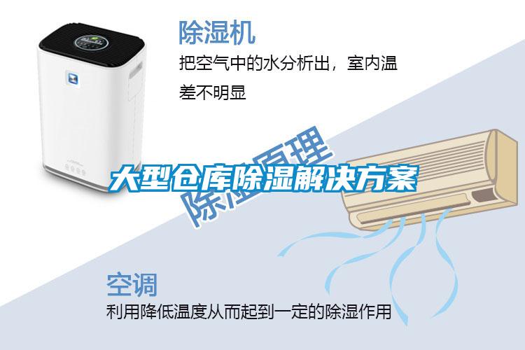 大型仓库除湿粉色视频成人