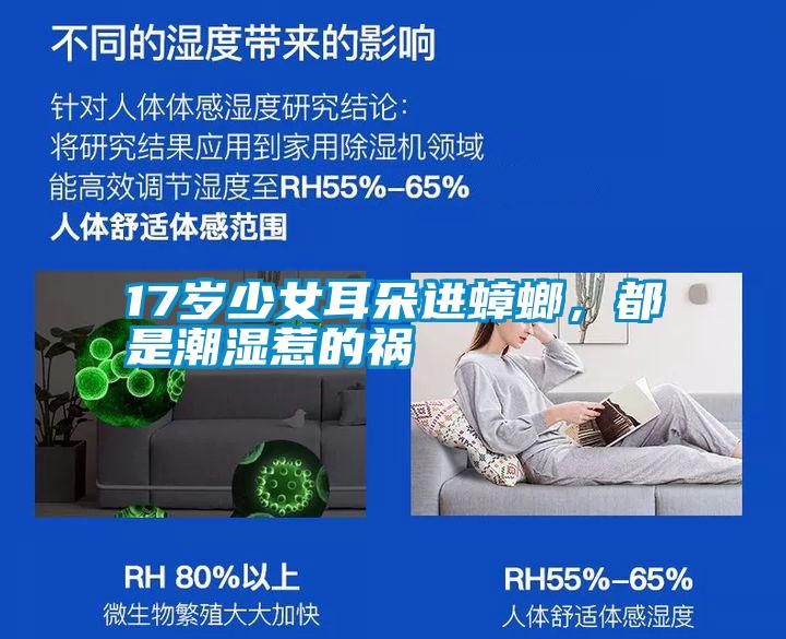 17岁少女耳朵进蟑螂，都是潮湿惹的祸