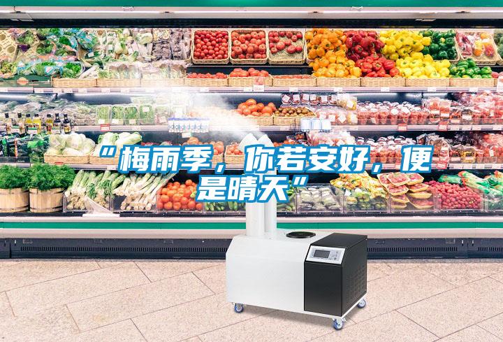 “梅雨季，你若安好，便是晴天”