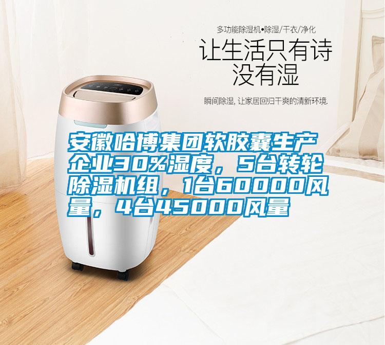 安徽哈博集团软胶囊生产企业30%湿度，5台转轮粉色视频免费在线观看组，1台60000风量，4台45000风量