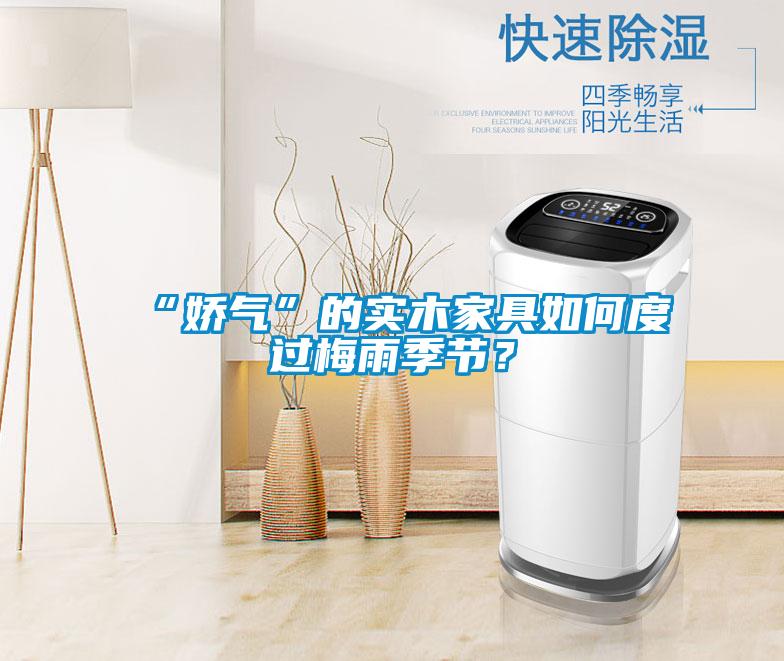 “娇气”的实木家具如何度过梅雨季节？