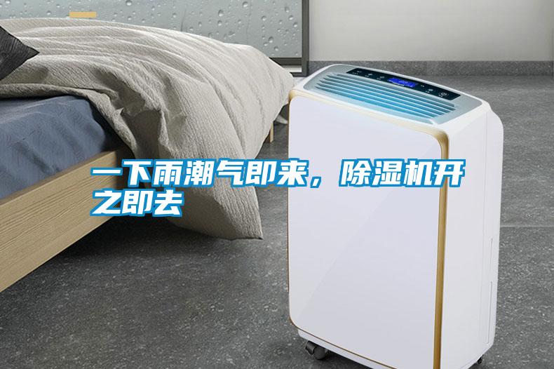 一下雨潮气即来，粉色视频免费在线观看开之即去