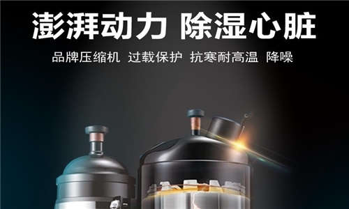 防爆粉色视频免费在线观看90L／D