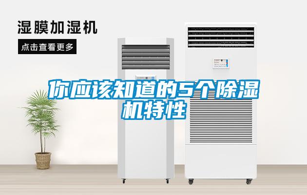 你应该知道的5个粉色视频免费在线观看特性