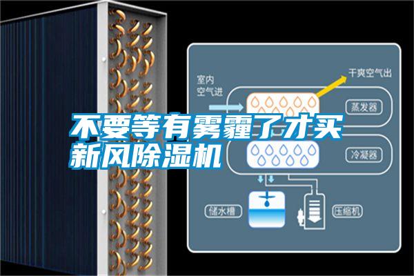 不要等有雾霾了才买新风粉色视频免费在线观看