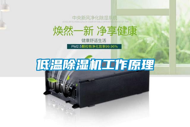 低温粉色视频免费在线观看工作原理