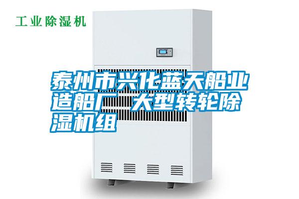 泰州市兴化蓝天船业造船厂 大型转轮粉色视频免费在线观看组