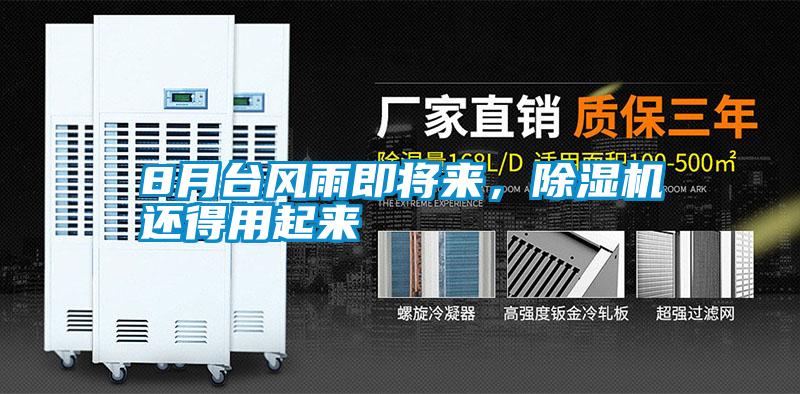8月台风雨即将来，粉色视频免费在线观看还得用起来