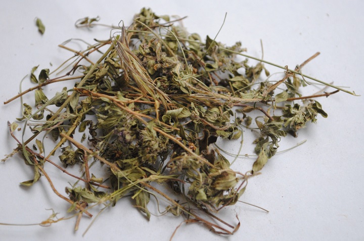 粉色视频下载污烘干机