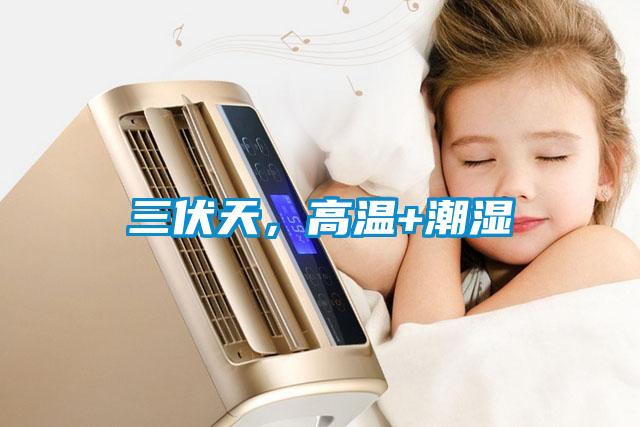 三伏天，高温+潮湿