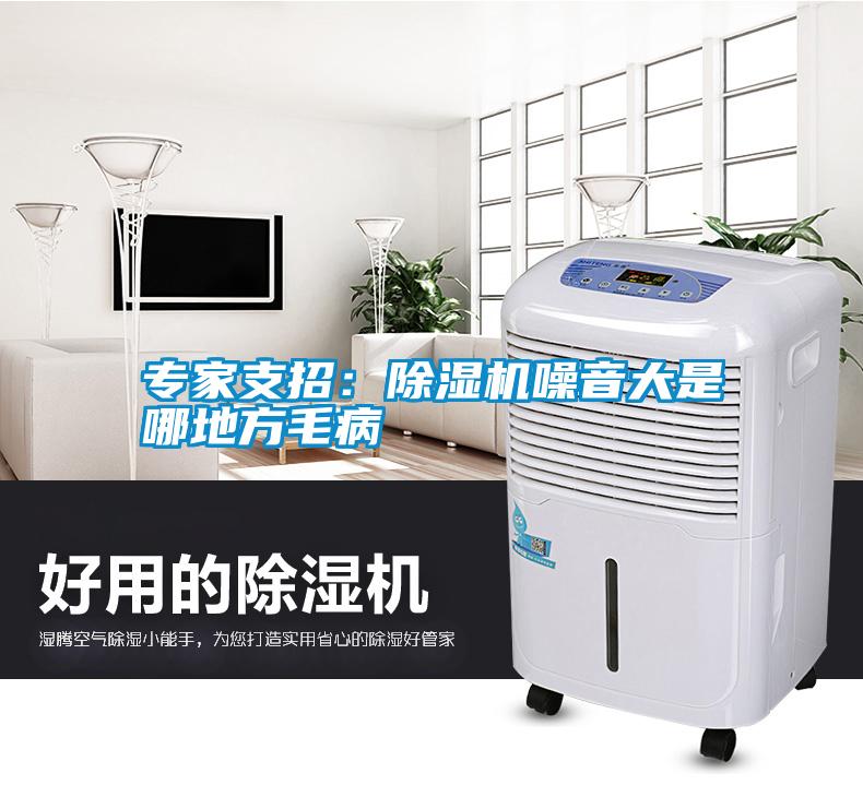 专家支招：粉色视频免费在线观看噪音大是哪地方毛病