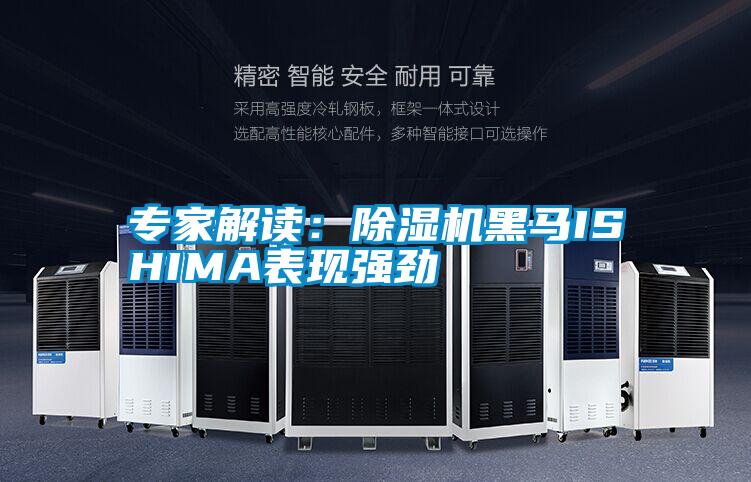 专家解读：粉色视频免费在线观看黑马ISHIMA表现强劲