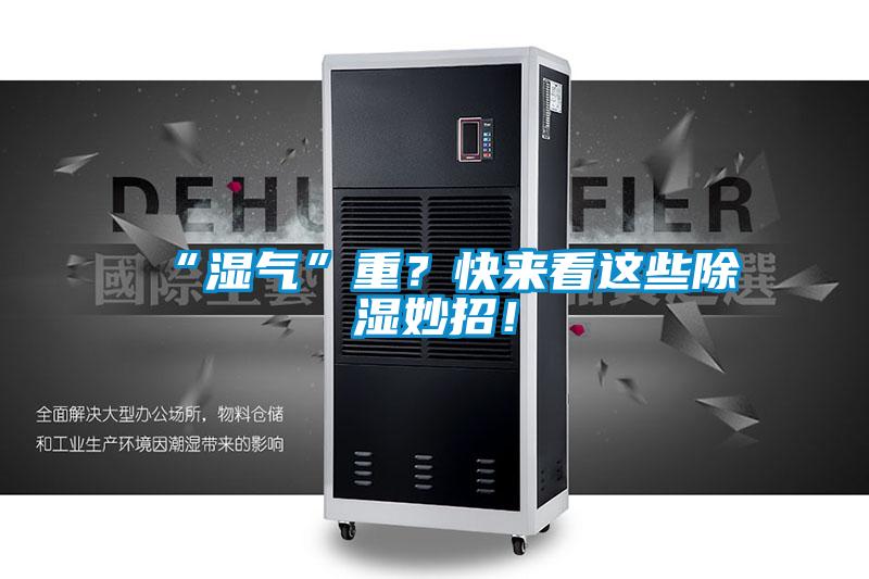 “湿气”重？快来看这些除湿妙招！