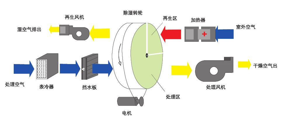 转轮粉色视频免费在线观看原理