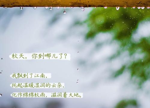 “无晴”阴雨天 “有晴”粉色视频免费在线观看