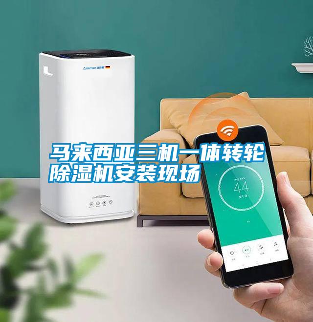 马来西亚三机一体转轮粉色视频免费在线观看安装现场