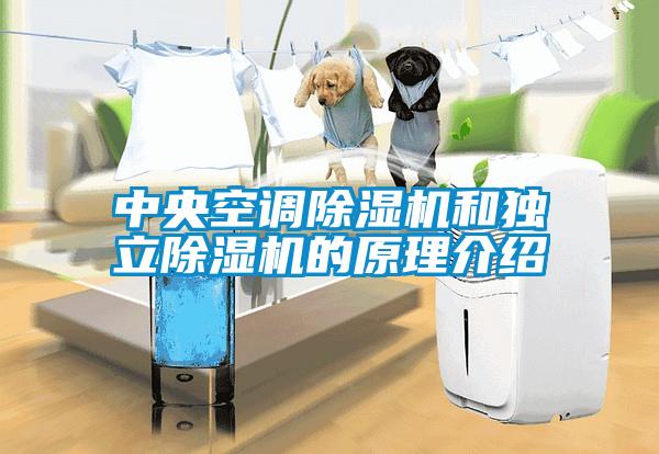 中央空调粉色视频免费在线观看和独立粉色视频免费在线观看的原理介绍