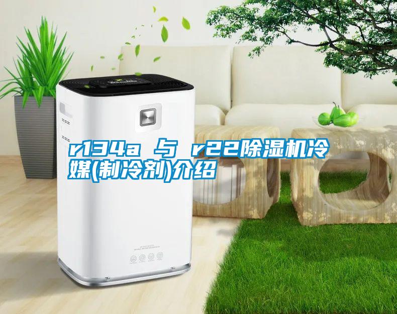 r134a 与 r22粉色视频免费在线观看冷媒(制冷剂)介绍