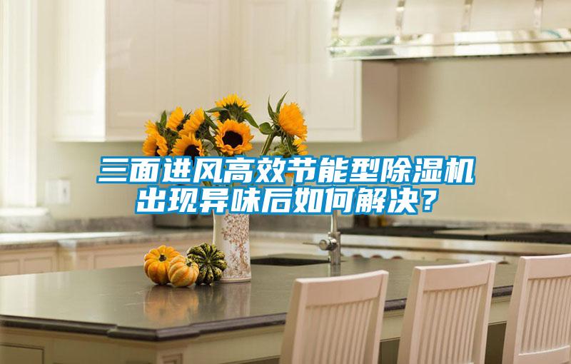 三面进风高效节能型粉色视频免费在线观看出现异味后如何解决？