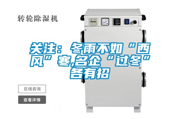 关注：冬雨不如“西风”寒,名企“过冬”各有招