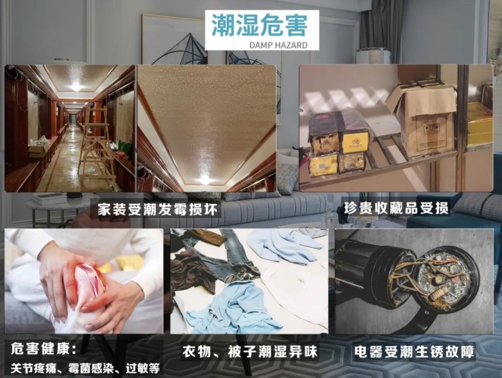 粉色视频免费在线观看