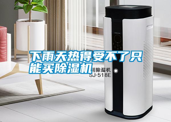 下雨天热得受不了只能买粉色视频免费在线观看