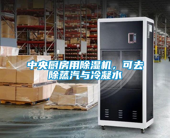 中央厨房用粉色视频免费在线观看，可去除蒸汽与冷凝水