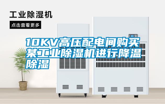 10KV高压配电间购买某工业粉色视频免费在线观看进行降温除湿