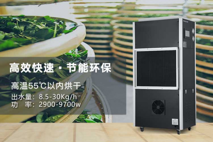 潮湿天气来袭，螨虫爆满床！