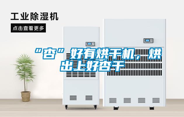 “杏”好有烘干机，烘出上好杏干