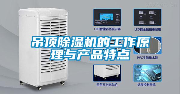 吊顶粉色视频免费在线观看的工作原理与产品特点