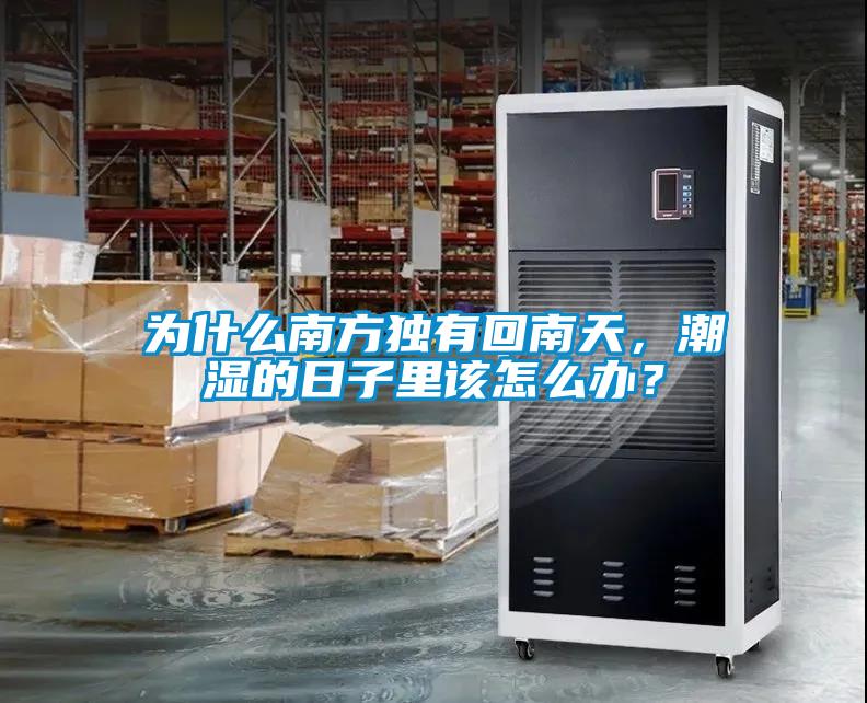 为什么南方独有回南天，潮湿的日子里该怎么办？