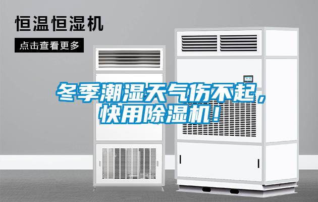 冬季潮湿天气伤不起，快用粉色视频免费在线观看！