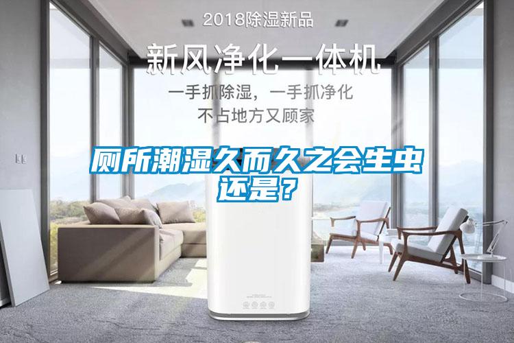 厕所潮湿久而久之会生虫还是？