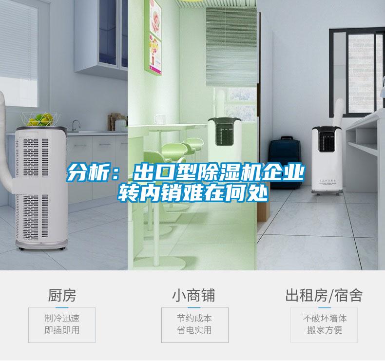 分析：出口型粉色视频免费在线观看企业 转内销难在何处