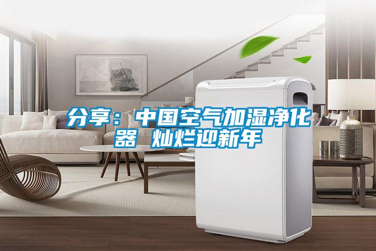 分享：中国空气加湿净化器 灿烂迎新年