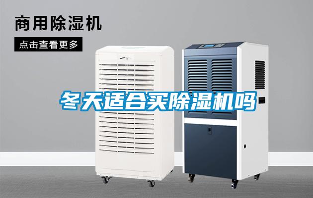 冬天适合买粉色视频免费在线观看吗