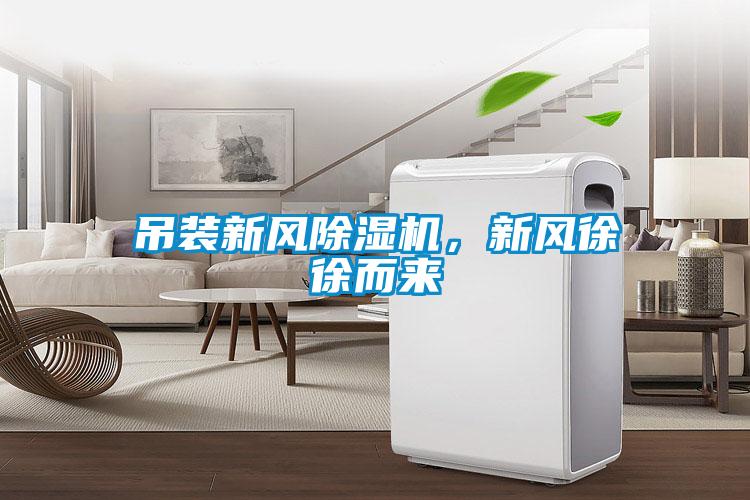 吊装新风粉色视频免费在线观看，新风徐徐而来