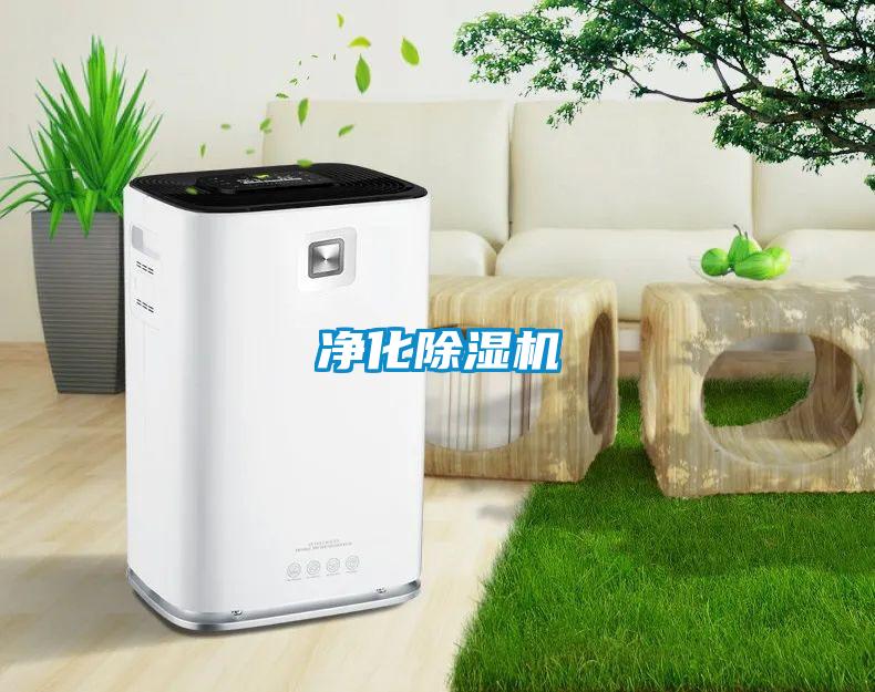 净化粉色视频免费在线观看