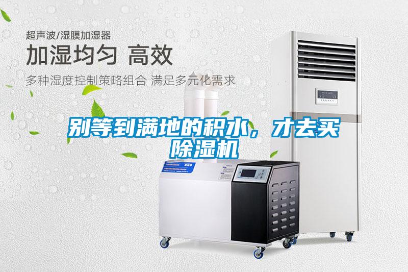 别等到满地的积水，才去买粉色视频免费在线观看
