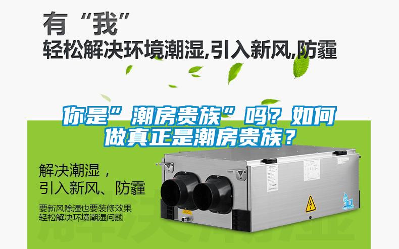 你是”潮房贵族”吗？如何做真正是潮房贵族？