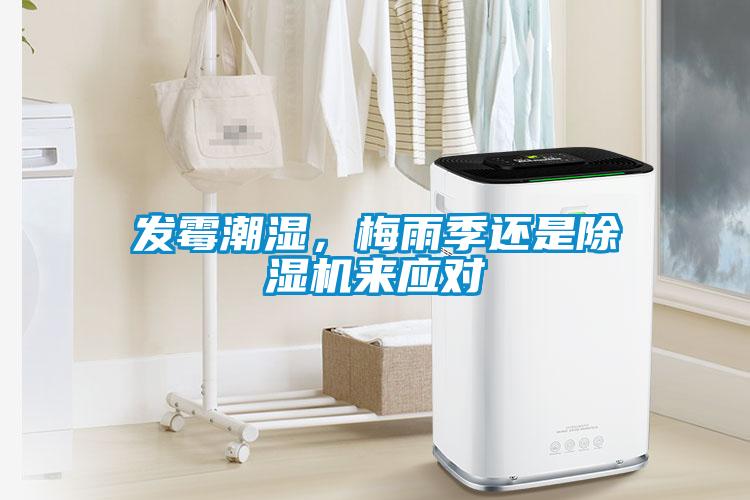 发霉潮湿，梅雨季还是粉色视频免费在线观看来应对