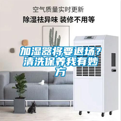 加湿器将要退场？清洗保养我有妙方