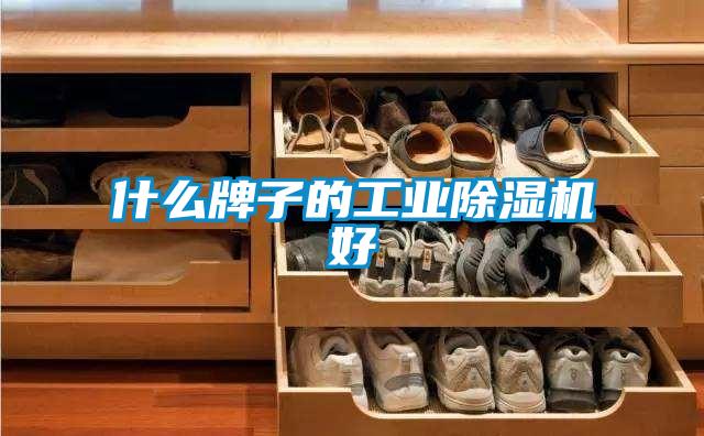 什么牌子的工业粉色视频免费在线观看好