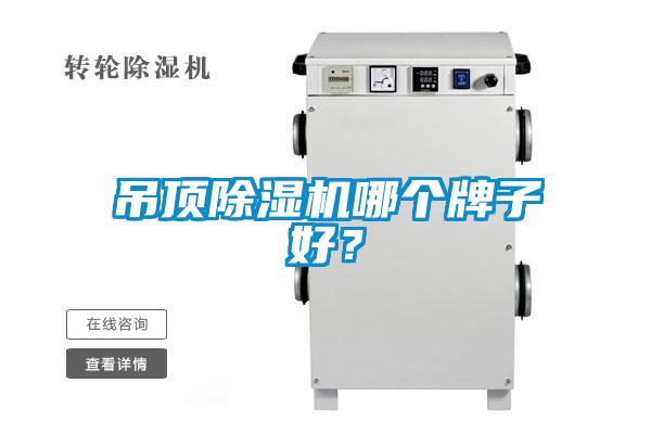 吊顶粉色视频免费在线观看哪个牌子好？