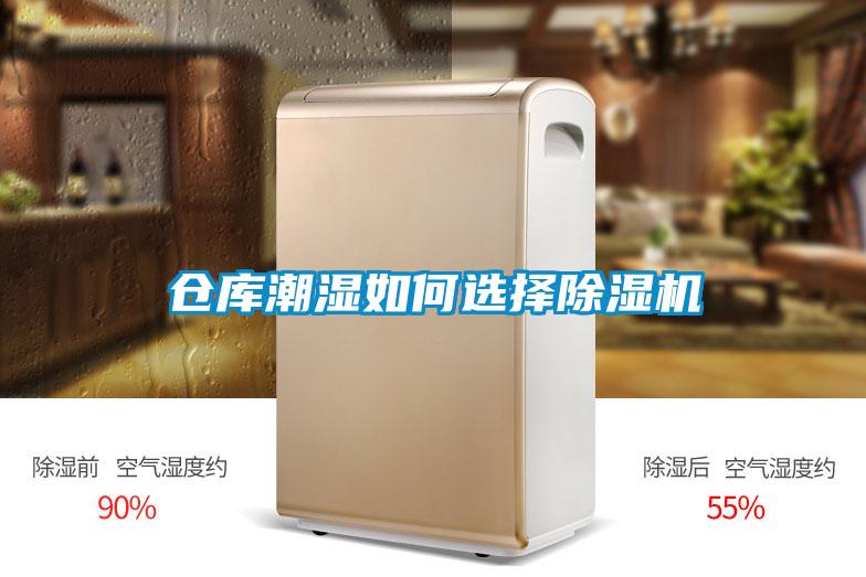 仓库潮湿如何选择粉色视频免费在线观看