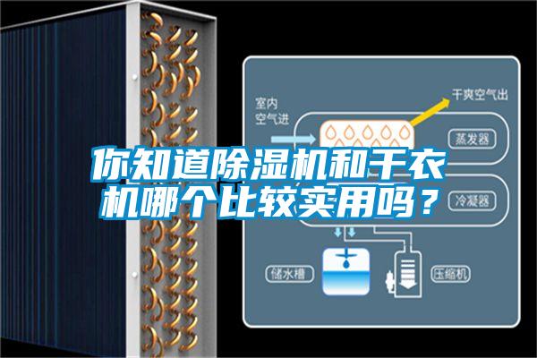 你知道粉色视频免费在线观看和干衣机哪个比较实用吗？